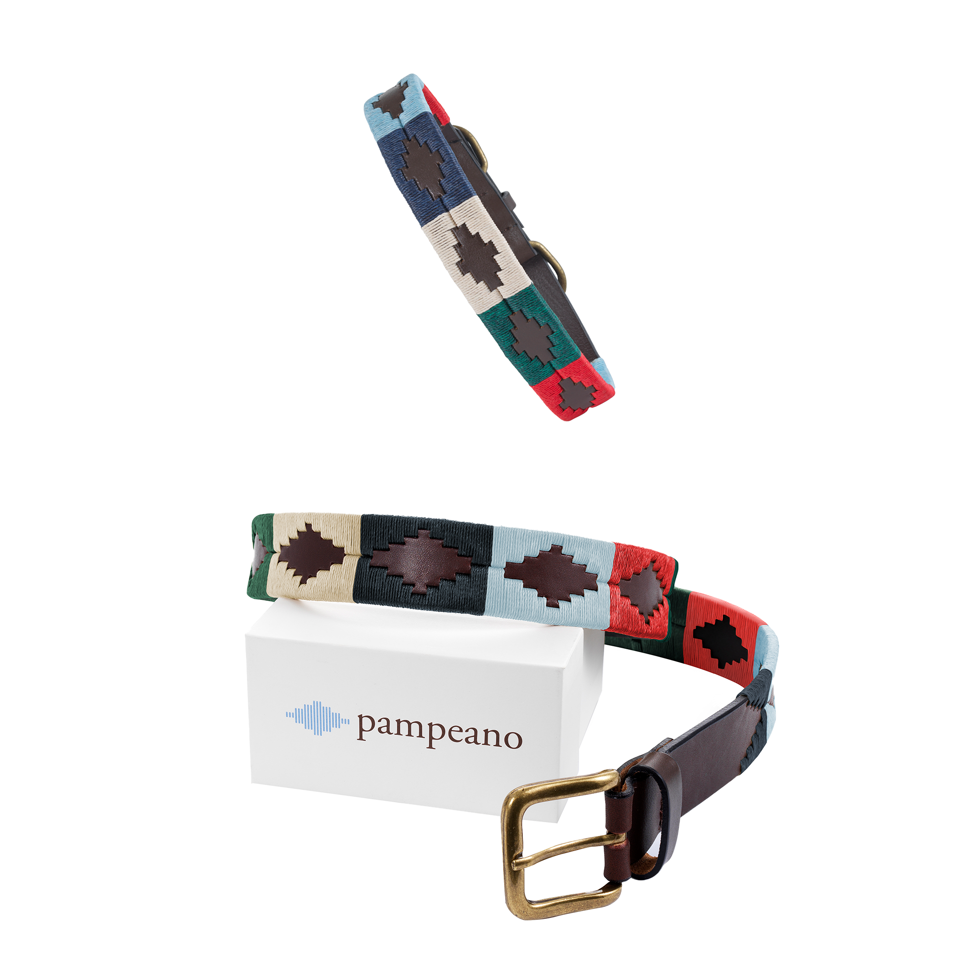 Polo belt dog collar hotsell