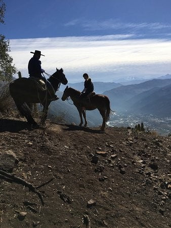 Argentinian Malbec - a lesser known Andes resident