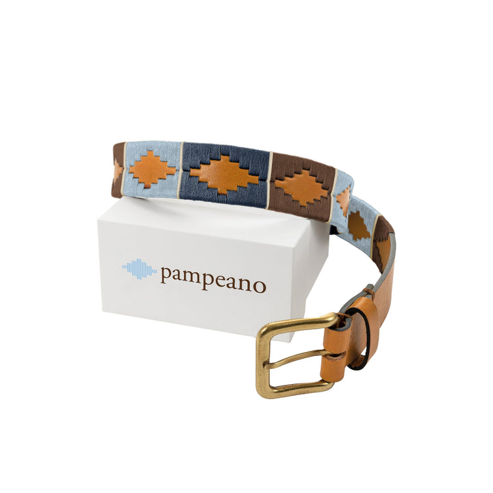 pampeano Belt - Arenoso