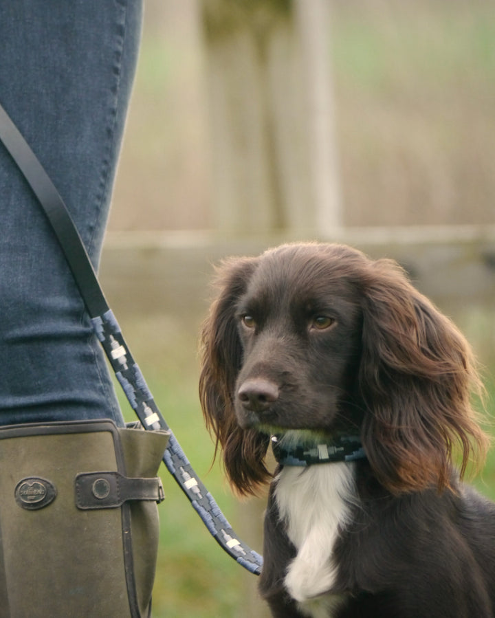 bespoke dog lead slim Benito